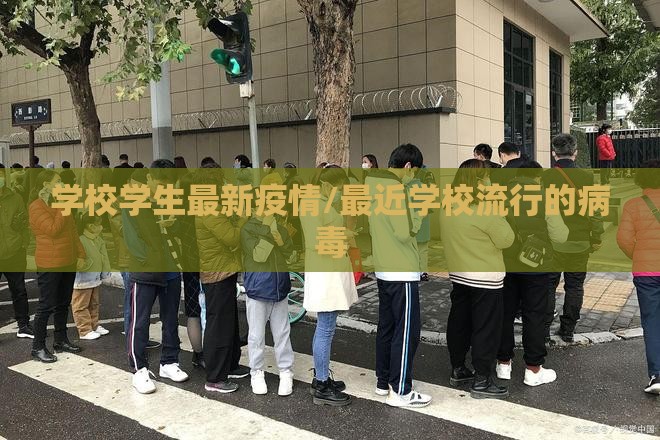 学校学生最新疫情/最近学校流行的病毒