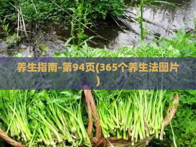 养生指南-第94页(365个养生法图片) 养生指南-第94页(365个养生法图片)