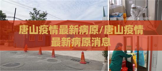 唐山疫情最新病原/唐山疫情最新病原消息