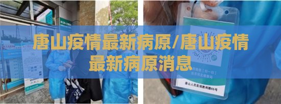唐山疫情最新病原/唐山疫情最新病原消息
