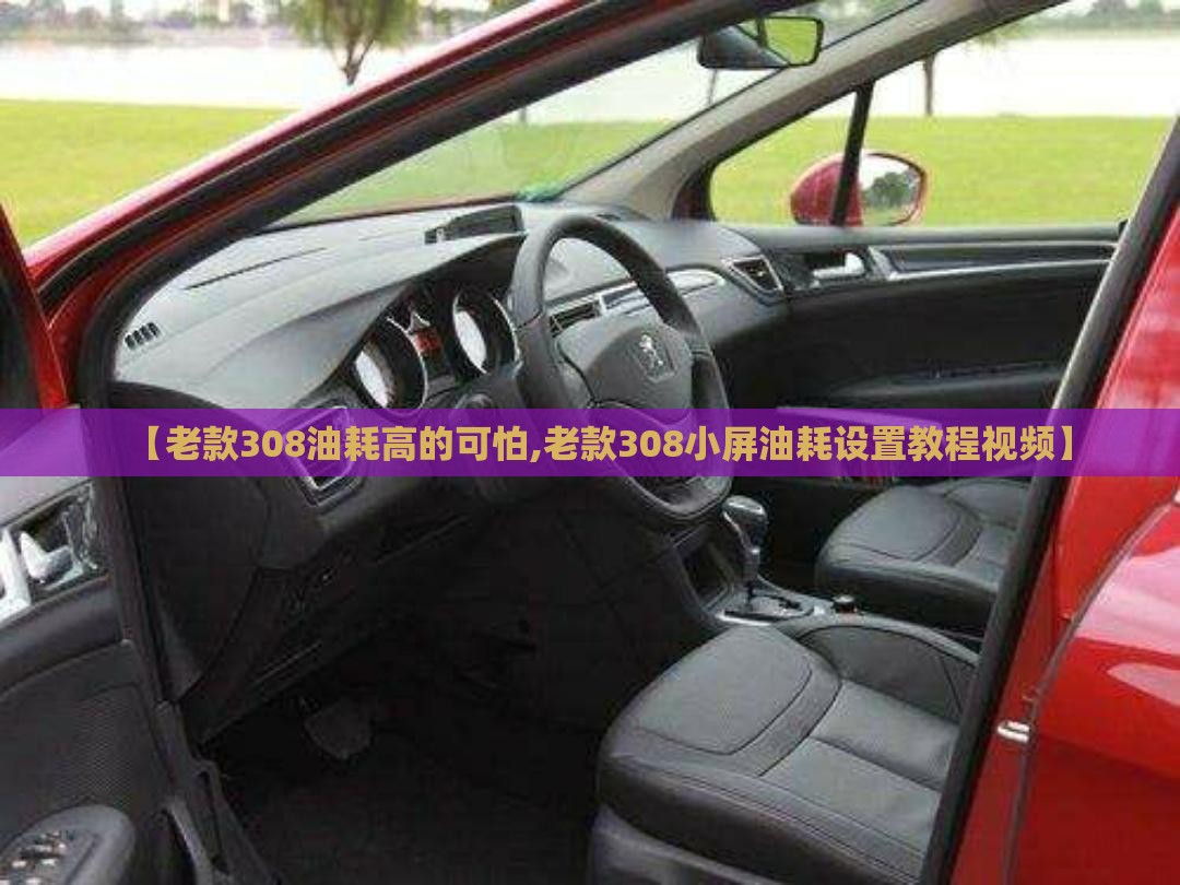 【老款308油耗高的可怕,老款308小屏油耗设置教程视频】