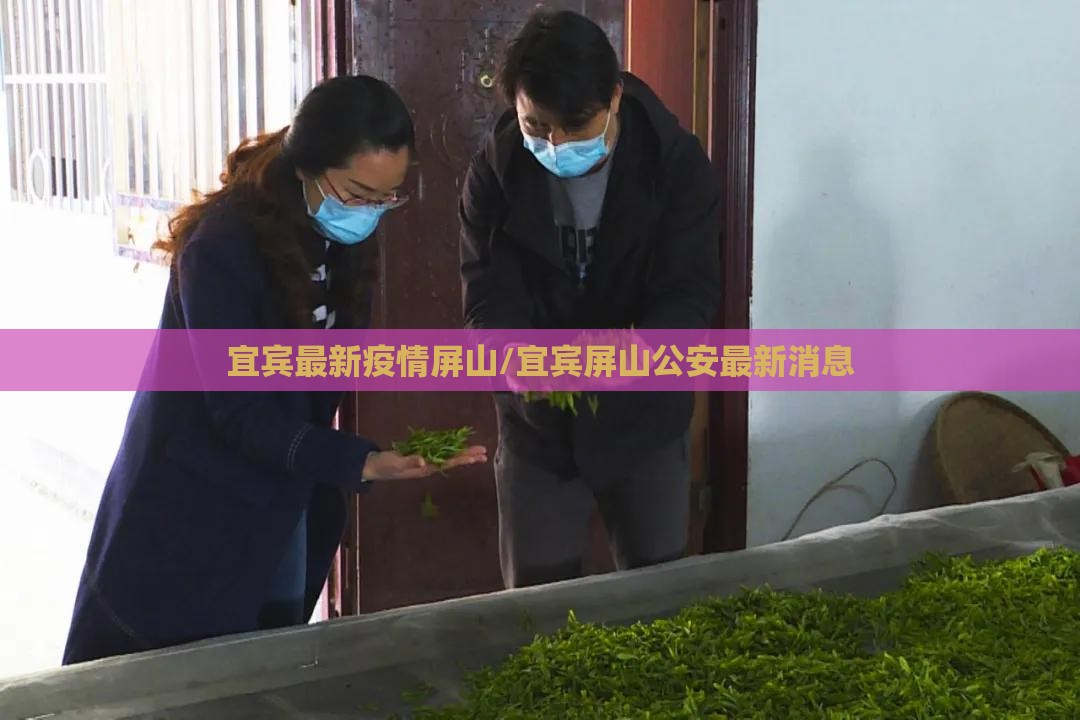 宜宾最新疫情屏山/宜宾屏山公安最新消息