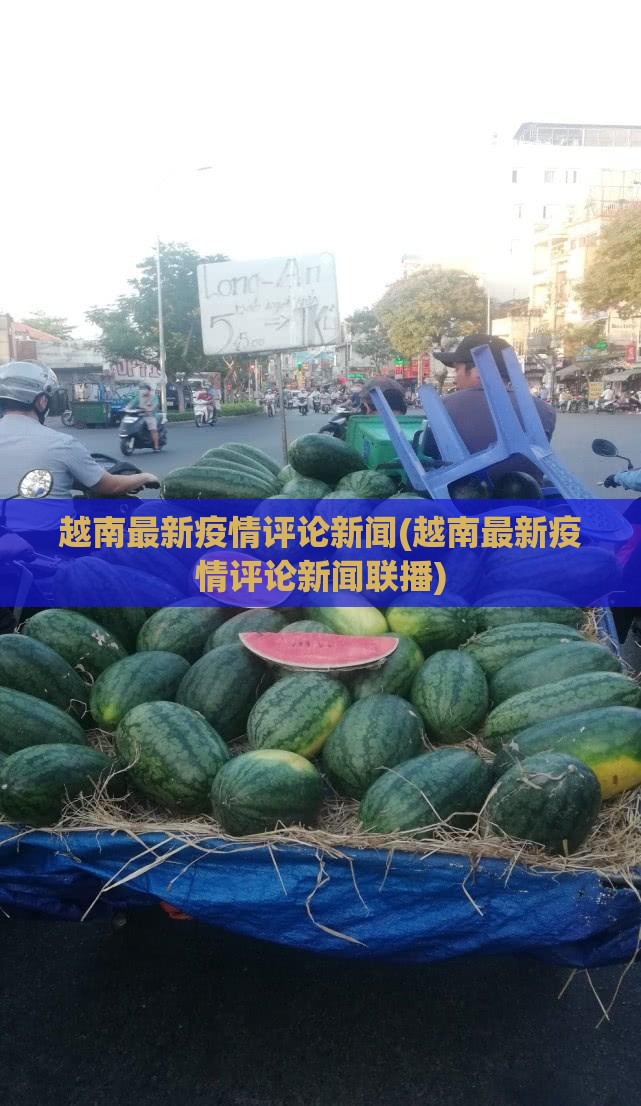 越南最新疫情评论新闻(越南最新疫情评论新闻联播)