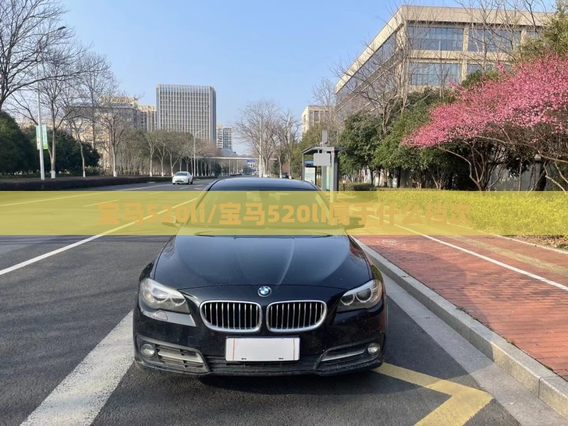 宝马520li/宝马520li属于什么档次