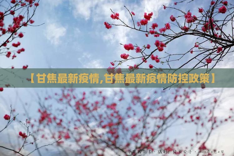 【甘焦最新疫情,甘焦最新疫情防控政策】