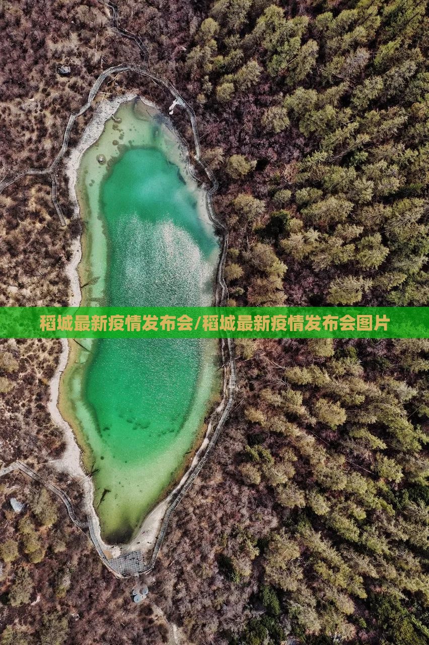 稻城最新疫情发布会/稻城最新疫情发布会图片