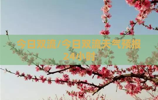 今日双流/今日双流天气预报24小时