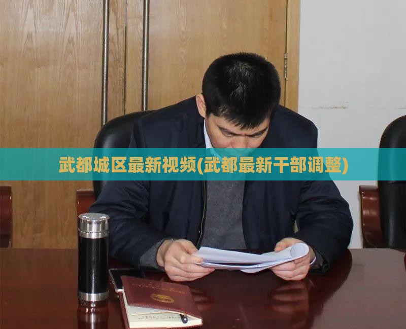 武都城区最新视频(武都最新干部调整)