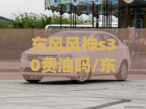 东风风神s30费油吗/东风风神s30油耗高什么原因