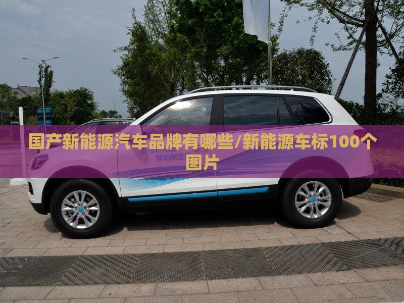 国产新能源汽车品牌有哪些/新能源车标100个图片
