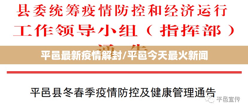 平邑最新疫情解封/平邑今天最火新闻