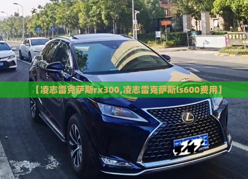 【凌志雷克萨斯rx300,凌志雷克萨斯ls600费用】