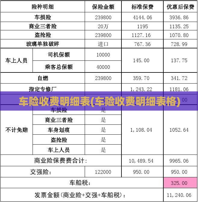 车险收费明细表(车险收费明细表格)