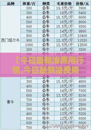 【今日最新油费用行情,今日最新油费用表92号】