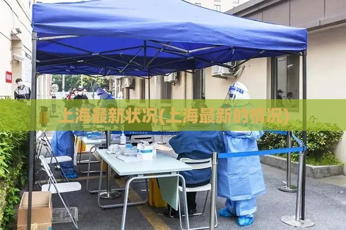 上海最新状况(上海最新的情况)