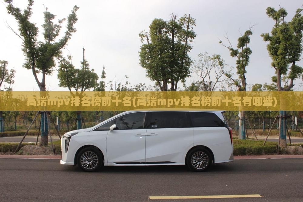 高端mpv排名榜前十名(高端mpv排名榜前十名有哪些)