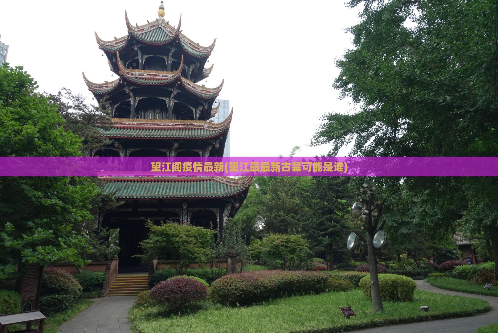 望江阁疫情最新(望江最最新古墓可能是谁)