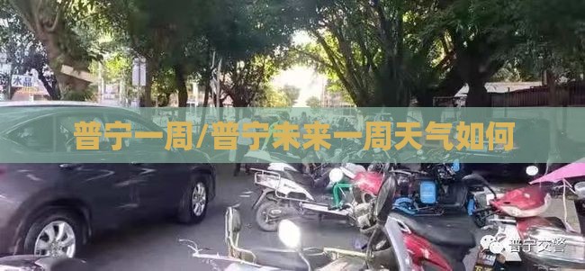普宁一周/普宁未来一周天气如何 普宁一周/普宁未来一周天气如何