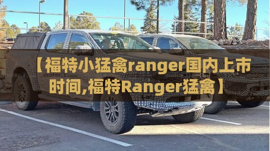 【福特小猛禽ranger国内上市时间,福特Ranger猛禽】