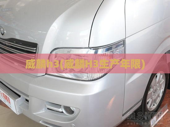 威麟h3(威麟H3生产年限) 威麟h3(威麟H3生产年限)