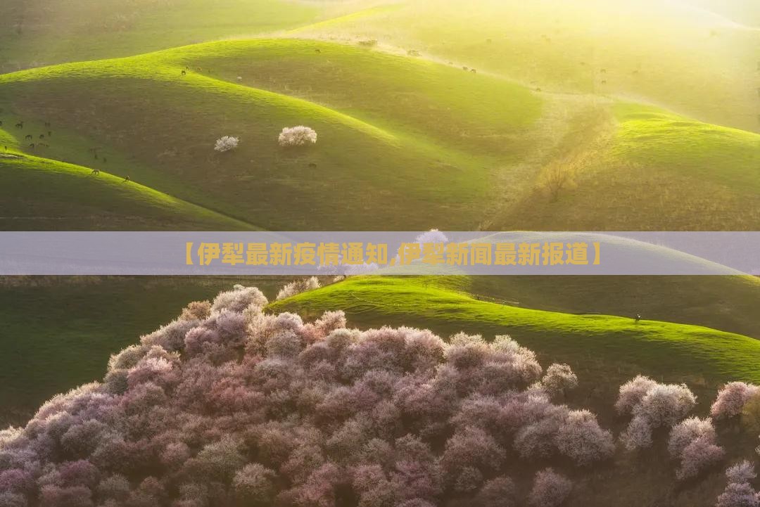 【勇士越野车民用版报价,勇士越野车最新款图片】