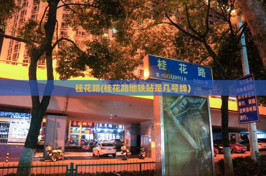 桂花路(桂花路地铁站是几号线)