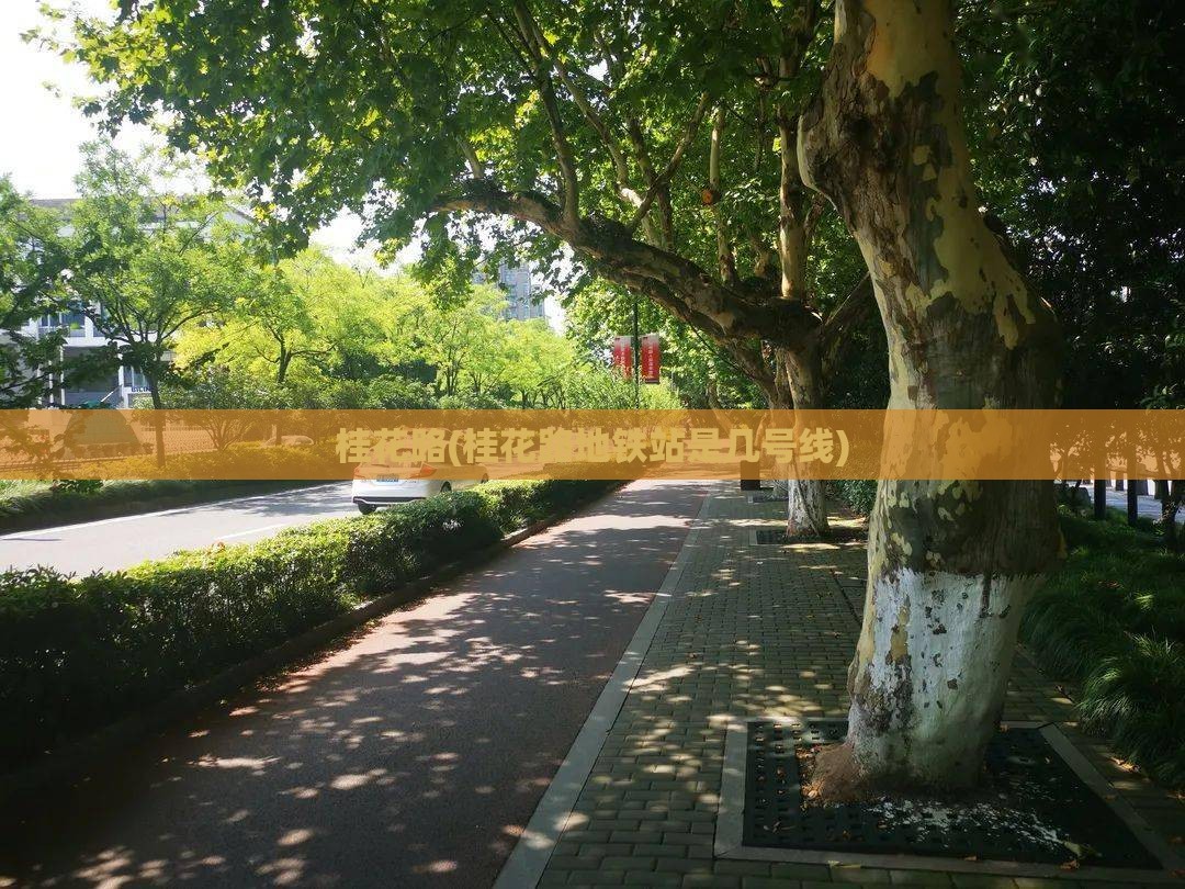 桂花路(桂花路地铁站是几号线)